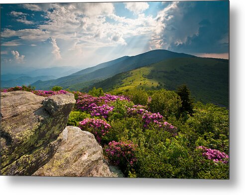 Appalachian Trail Metal Print featuring the photograph Roan Mountain from Appalachian Trail near Jane's Bald by Dave Allen