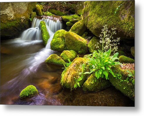 Great Smoky Mountains Metal Print featuring the photograph Roaring Fork Great Smoky Mountains National Park TN by Dave Allen