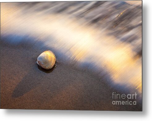 America Metal Print featuring the photograph Shell and Surf by Susan Cole Kelly
