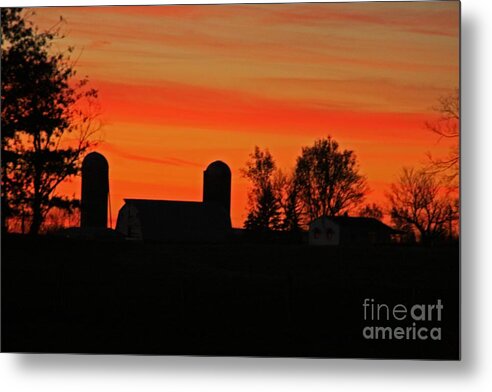 Silhouette Metal Print featuring the photograph Silhouette by Melissa Mim Rieman