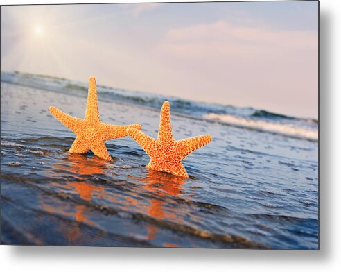 Ocean Metal Print featuring the photograph Starfish on Vacation 2 by William Britten