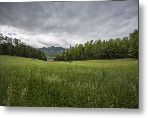 Green Metal Print featuring the photograph Stuck in the Field by Jon Glaser