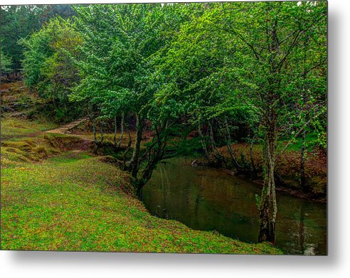 Rivers Metal Print featuring the photograph The Fogotico River in Spring by Robert McKinstry