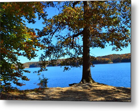 Autumn Trees Metal Print featuring the photograph Autumn Trees on Blue Lake by Stacie Siemsen