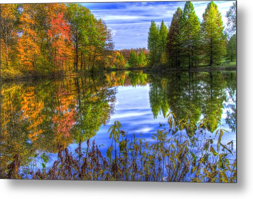 The Holden Arboretum Metal Print featuring the photograph The Reflection of Beauty by Carolyn Hall