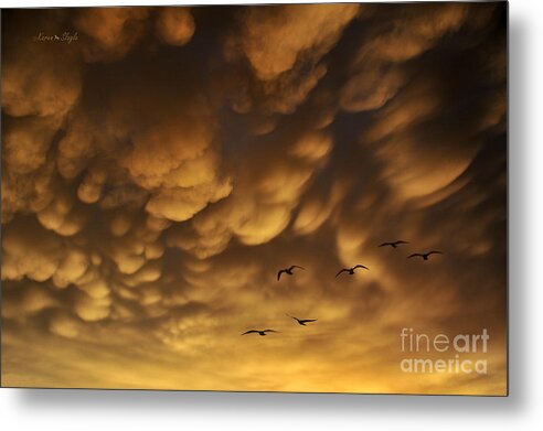 Clouds Metal Print featuring the photograph The Storm Cometh by Karen Slagle