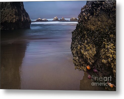 Sea Stacks Metal Print featuring the photograph Through The Channel by Gene Garnace