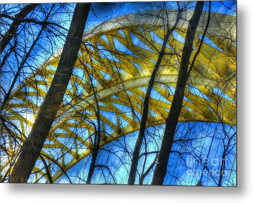 Bridges Metal Print featuring the photograph Tree Bridge Designs by Mel Steinhauer