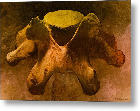  Metal Print featuring the photograph Vertabrae 1 by WB Johnston