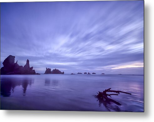Purple Metal Print featuring the photograph Violet Vista by Jon Glaser