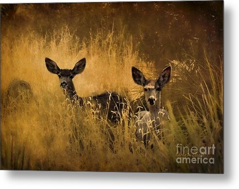 Deer Metal Print featuring the photograph What'cha Lookin' At by Karen Slagle