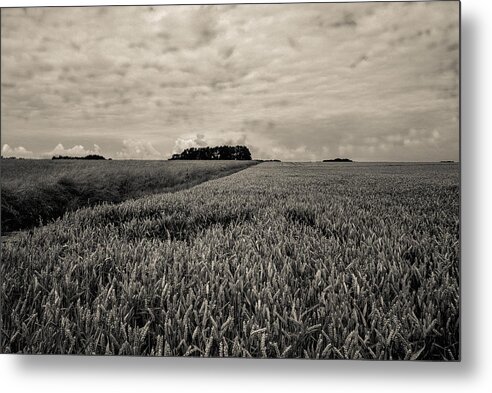France Metal Print featuring the photograph Wheatfields by Matthew Pace
