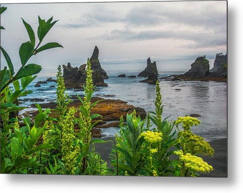 Wild Nature Beauty Metal Print featuring the photograph Wild Beauty by Gene Garnace