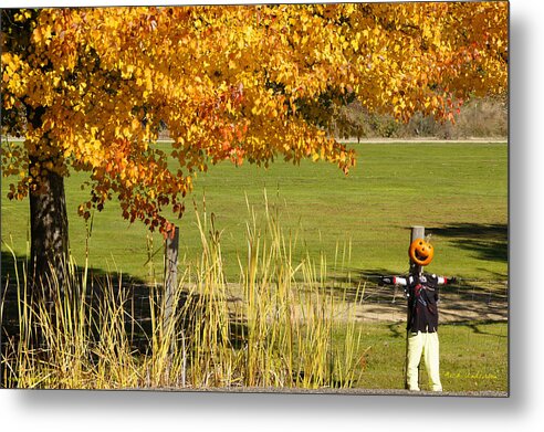 Autumn Metal Print featuring the photograph Autumn at the Schoolground by Mick Anderson