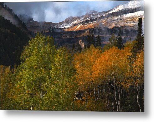 Mount Timpanogos Metal Print featuring the photograph Autumn Colors in the Wasatch Mountains by Douglas Pulsipher