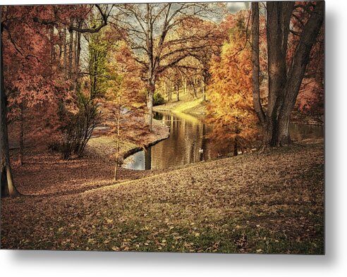 Autumn Metal Print featuring the photograph Awesome Autumn by Mary Timman