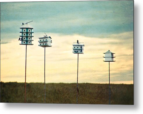 Birdhouses Metal Print featuring the photograph Birdhouse Row by Stacey Granger