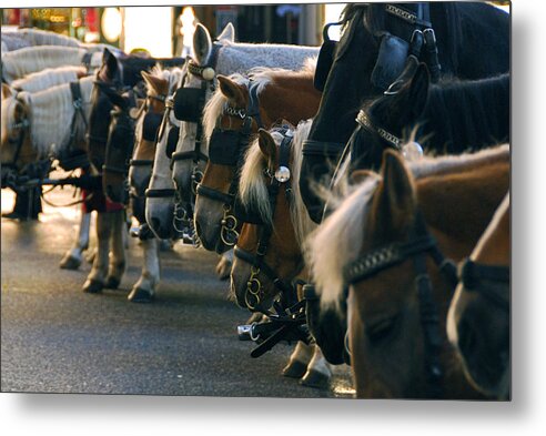 Horses Metal Print featuring the photograph Carriage Horses by Anthony Citro