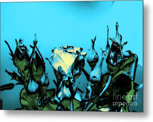 Digital Photography Metal Print featuring the digital art Mam Of Roses by Leo Symon