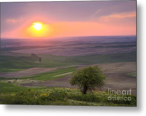 Eastern Washington Metal Print featuring the photograph Palouse Color by Idaho Scenic Images Linda Lantzy