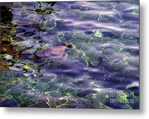 Sea Turtle Metal Print featuring the photograph playing at Crete by Casper Cammeraat