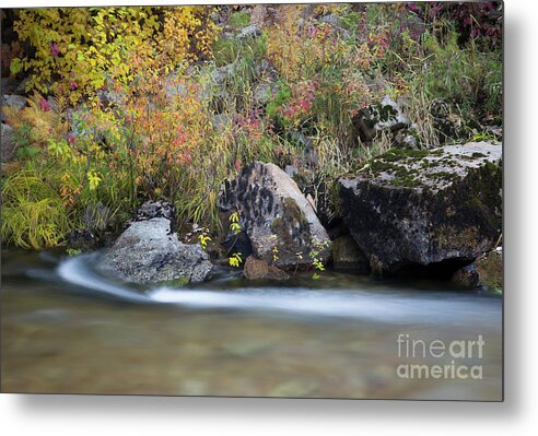 Coeur D'alene National Forest Metal Print featuring the photograph Autumn Flow #1 by Idaho Scenic Images Linda Lantzy