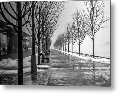 Sugar Beach Metal Print featuring the photograph Path Through Fog #3 by Nicky Jameson