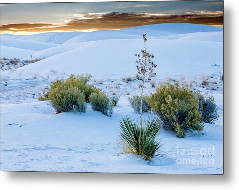 White Sands National Monument Metal Print featuring the photograph White Sands Sunrise #1 by Randy Jackson