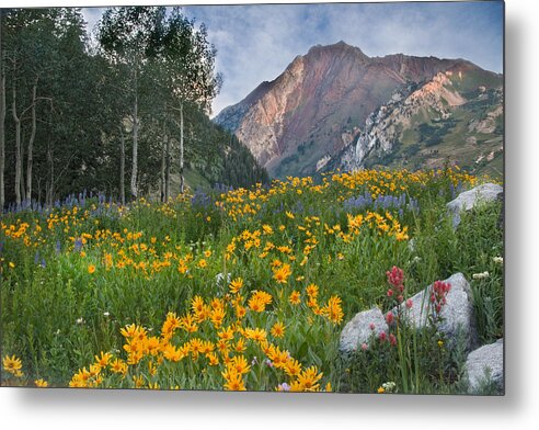 Wasatch Mountains Metal Print featuring the photograph Wasatch Mountains #3 by Douglas Pulsipher
