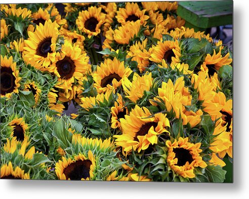 August Metal Print featuring the photograph A Crowd of Sunflowers by Susan Cole Kelly
