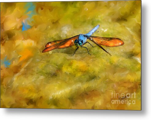Dragonfly Metal Print featuring the digital art Amber Wing Dragonfly by Lisa Redfern
