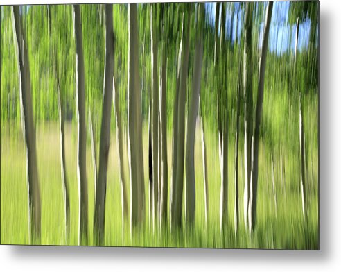 Aspen Grove Metal Print featuring the photograph Aspen Abstract 2 by Donna Kennedy