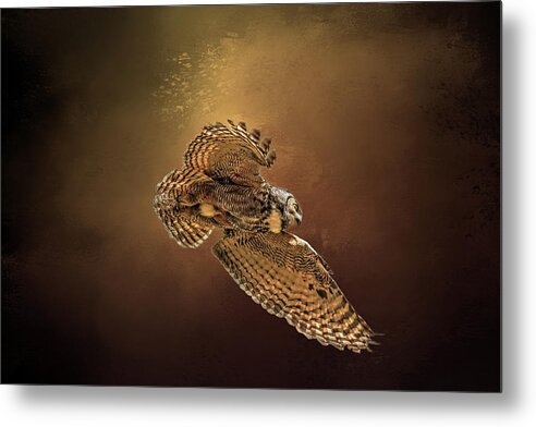 Great Horned Owl Metal Print featuring the photograph Backlit Owl by Donna Kennedy