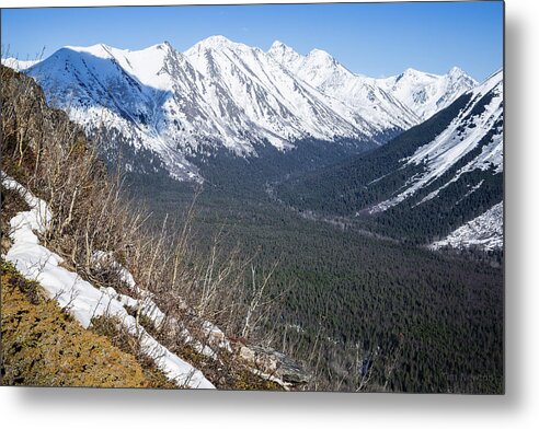 Alaska Metal Print featuring the photograph Beckoning Valley by Tim Newton