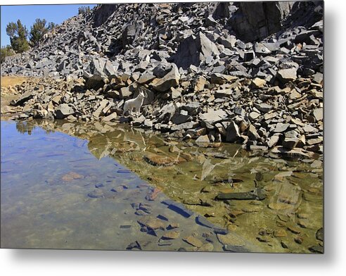 Rock Creek Metal Print featuring the photograph Become One With Nature by Sean Sarsfield