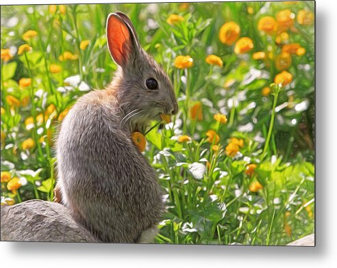 Bunny Metal Print featuring the photograph Bunny Brunch by Donna Kennedy