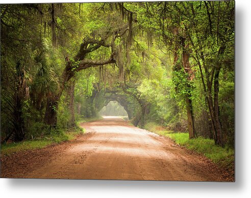 Dirt Road Metal Print featuring the photograph Charleston SC Edisto Island Dirt Road - The Deep South by Dave Allen