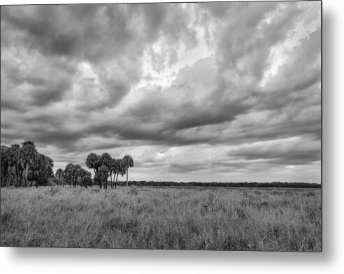 Art Metal Print featuring the photograph Cloud Collective by Jon Glaser