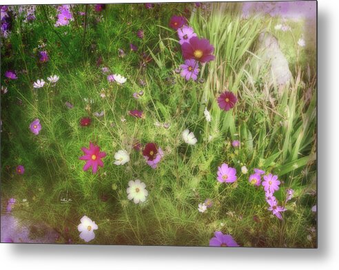 Ohio Metal Print featuring the photograph Country Flowers by Reese Lewis