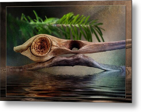 Driftwood Metal Print featuring the photograph Drift Away by WB Johnston