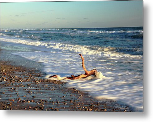Driftwood Metal Print featuring the photograph Driftwood in the surf by Roupen Baker