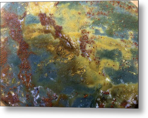 Macro Metal Print featuring the photograph Earth Portrait 008 by David Waldrop