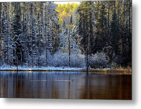 Canada Metal Print featuring the photograph First Snow by Doug Gibbons
