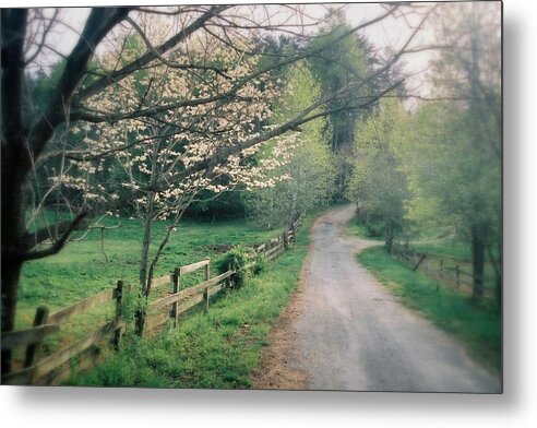 Spring Metal Print featuring the photograph Helen Georgia by Al Swasey