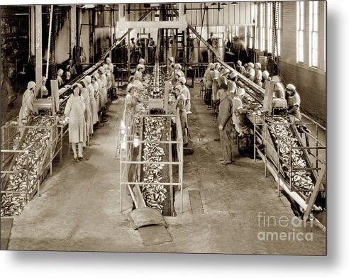 Interior View Metal Print featuring the photograph Interior view of three double packing tables of the main at Hovden Cannery 1927 by Monterey County Historical Society