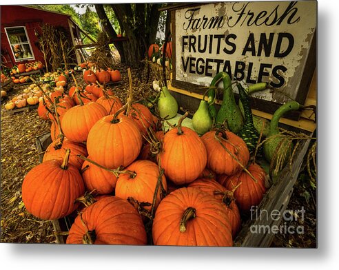 Farm Stand Metal Print featuring the photograph J. L. Hall Farm Stand, Autumn 2017 - Pumpkins During Harvest Time by JG Coleman