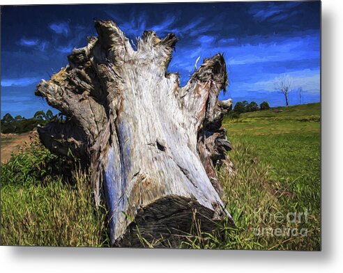 Dead Tree Trunk Metal Print featuring the photograph Large dead tree trunk by Sheila Smart Fine Art Photography