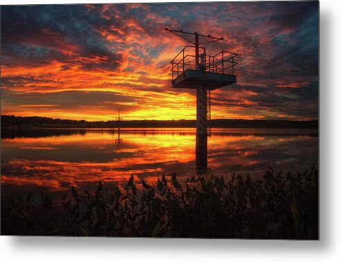 Gilford Metal Print featuring the photograph Lily Pond by Robert Clifford