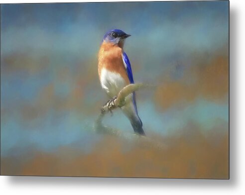 Eastern Bluebird Metal Print featuring the photograph Misty Blue by Donna Kennedy