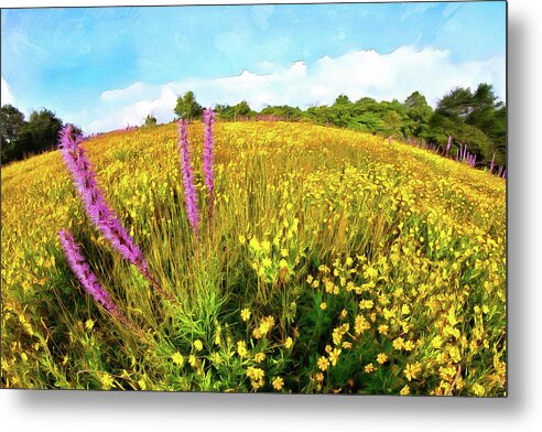 Blue Ridge Metal Print featuring the painting Mountain of Summer Flowers in the Blue Ridge AP by Dan Carmichael